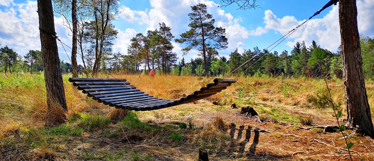 Schöner Platz zum Verweilen im Naturschutzgebiet Tister Bauernmoor Schöner Platz zum Verweilen im Naturschutzgebiet Tister Bauernmoor