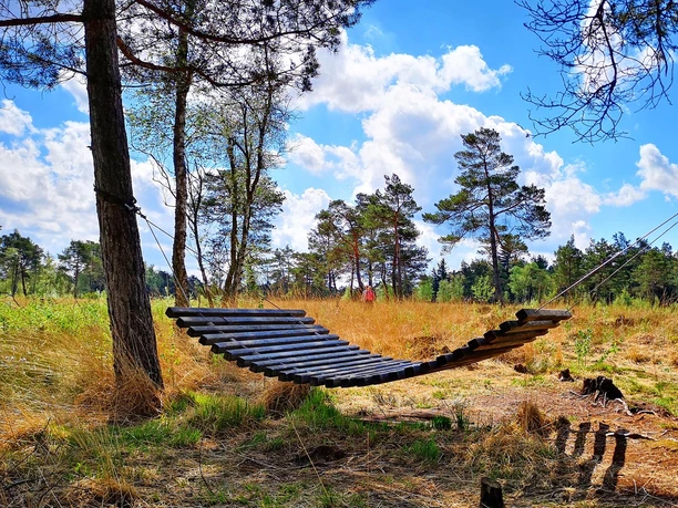 Schöner Platz zum Verweilen im Naturschutzgebiet Tister Bauernmoor Schöner Platz zum Verweilen im Naturschutzgebiet Tister Bauernmoor