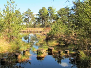 Balancierstation im Naturschutzgebiet Tister Bauernmoor Balancierstation im Naturschutzgebiet Tister BauernmoorBalancing station in the Tister Bauernmoor nature reserveBalancestation i naturreservatet Tister BauernmoorBalansstation in het natuurreservaat Tister Bauernmoor