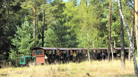 Moorbahn Burgsittensen im Naturschutzgebiet Tister Bauernmoor Moorbahn Burgsittensen im Naturschutzgebiet Tister Bauernmoor