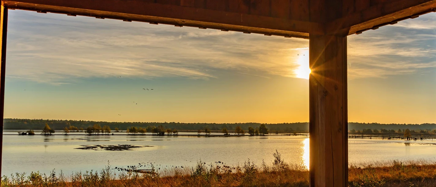 Ausblick vom Beobachtungsturm des Tister Bauernmoores Ausblick vom Beobachtungsturm des Tister Bauernmoores