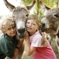 Zwei Kinder mit Eseln im LandPark Lauenbrück Zwei Kinder mit Eseln im LandPark LauenbrückTwo children with donkeys in LandPark LauenbrückTo børn med æsler i LandPark LauenbrückTwee kinderen met ezels in LandPark Lauenbrück