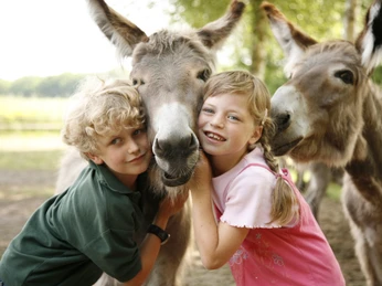 Zwei Kinder mit Eseln im LandPark Lauenbrück Zwei Kinder mit Eseln im LandPark Lauenbrück