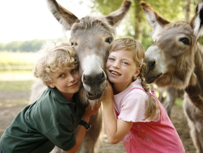 Zwei Kinder mit Eseln im LandPark Lauenbrück Zwei Kinder mit Eseln im LandPark LauenbrückTwo children with donkeys in LandPark LauenbrückTo børn med æsler i LandPark LauenbrückTwee kinderen met ezels in LandPark Lauenbrück