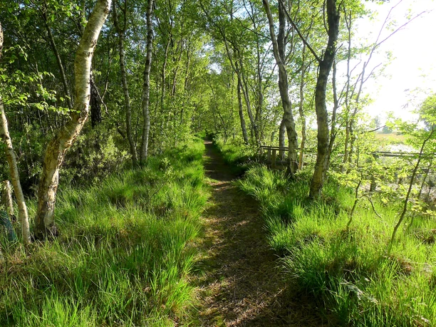 Moorerlebnispfad im Naturschutzgebiet Huvenhoopsmoor Moorerlebnispfad im Naturschutzgebiet Huvenhoopsmoor