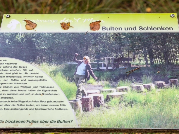 Thementafel in der Moorzone Großes und Weißes Moor Thementafel in der Moorzone Großes und Weißes Moor