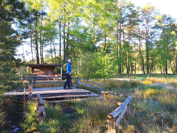 Plattform in der Moorzone im Großen und Weißen Moor Plattform in der Moorzone im Großen und Weißen Moor