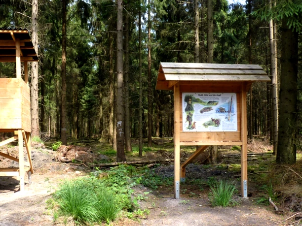 Infotafel zum Thema Jagd auf dem Waldlehrpfad im Großen Holz bei Zeven Infotafel zum Thema Jagd auf dem Waldlehrpfad im Großen Holz bei Zeven