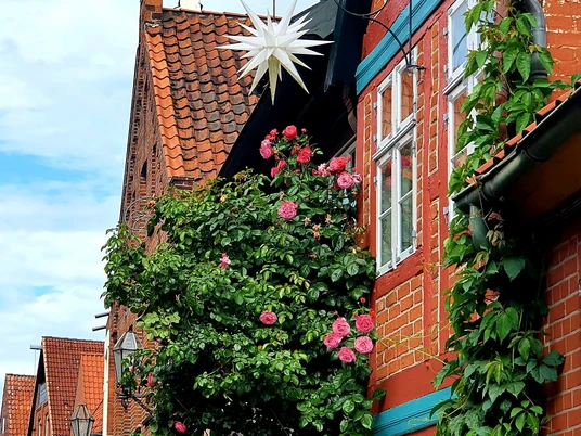 Schmalstes Haus©Mareike Bodendieck.jpg