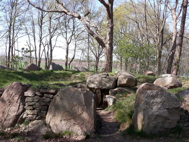 Großsteingrab in Steinfeld bei Bülstedt Großsteingrab in Steinfeld bei Bülstedt