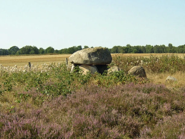 Grabfeld Steinalkenheide mit Heidefläche Grabfeld Steinalkenheide mit Heidefläche