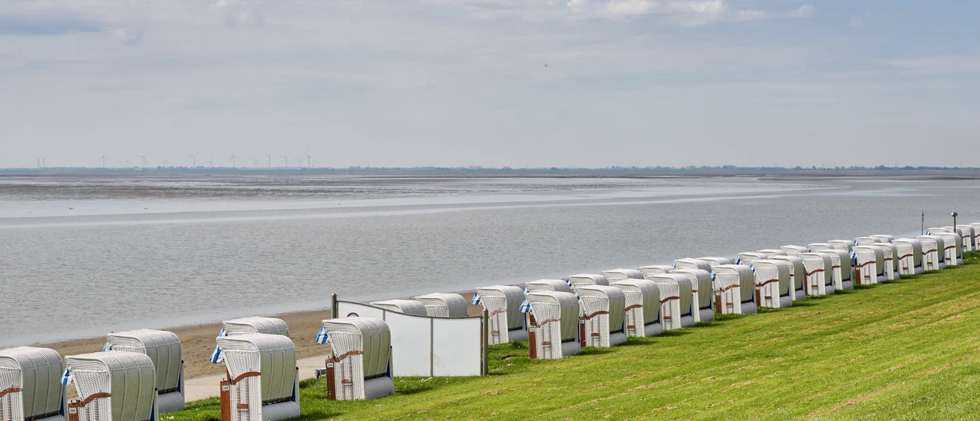Wattenmeer Wilhelmshaven