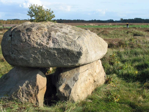Steinalkenheide Gabfälder Steinalkenheide Gabfälder