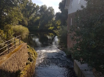 E-Werk©Dorothée Meyer_2016 (7).jpg