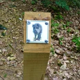Folgen Sie dem Wildschwein auf dem 3 km langen Waldlehrpfad Folgen Sie dem Wildschwein auf dem 3 km langen WaldlehrpfadFollow the wild boar on the 3 km long forest nature trailFølg vildsvinene på den 3 km lange natursti i skovenVolg de wilde zwijnen op het 3 km lange bosnatuurpad