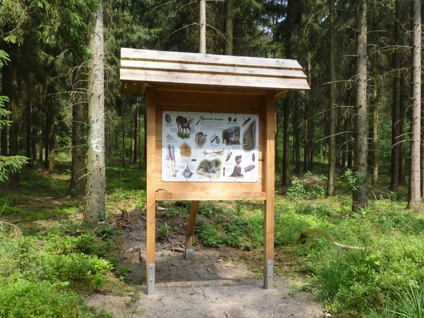 18 Stationen laden zum Informieren und Mitmachen ein 18 Stationen laden zum Informieren und Mitmachen ein