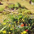 Blumenbeet im Mitmach- und Erlebnisgarten Hartmannshof Blumenbeet im Mitmach- und Erlebnisgarten Hartmannshof