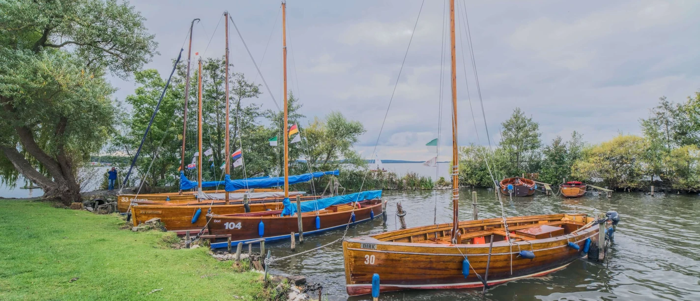 Vier Auswanderer Steinhude Mole Steinhuder Meer: Traditionelle Segelboote am Ufer, umgeben von grüner Natur und ruhigem Gewässer.