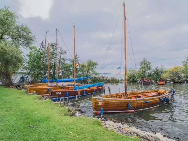 Vier Auswanderer Steinhude Mole Steinhuder Meer: Traditionelle Segelboote am Ufer, umgeben von grüner Natur und ruhigem Gewässer.