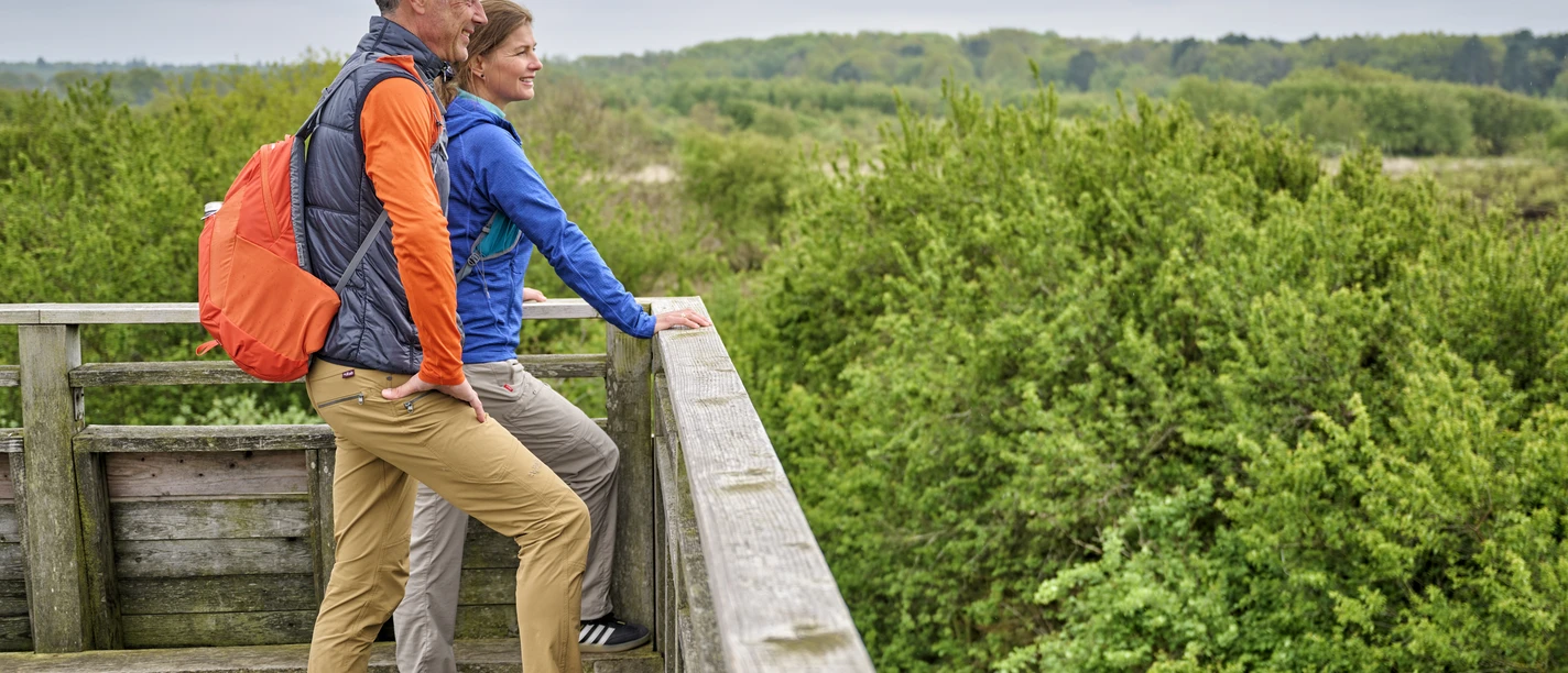 Besucherplattform Duhner Heide