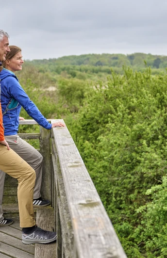 Besucherplattform Duhner Heide