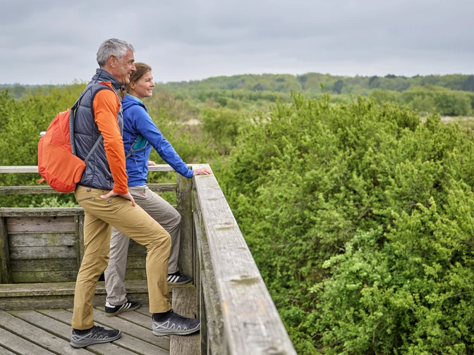 Besucherplattform Duhner Heide