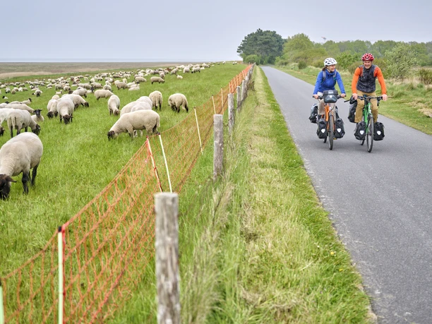 Radweg direkt am Wattenmeer zwischen Duhnen und Sahlenburg