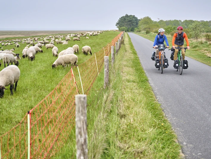 Radweg direkt am Wattenmeer zwischen Duhnen und Sahlenburg