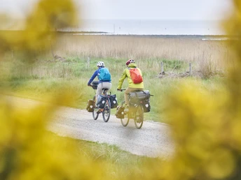 Radweg direkt am Wattenmeer