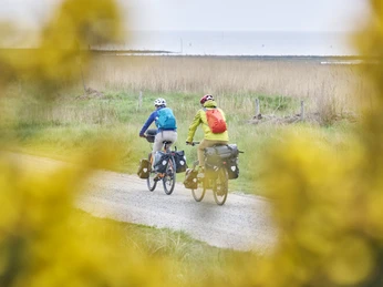 Radweg direkt am Wattenmeer