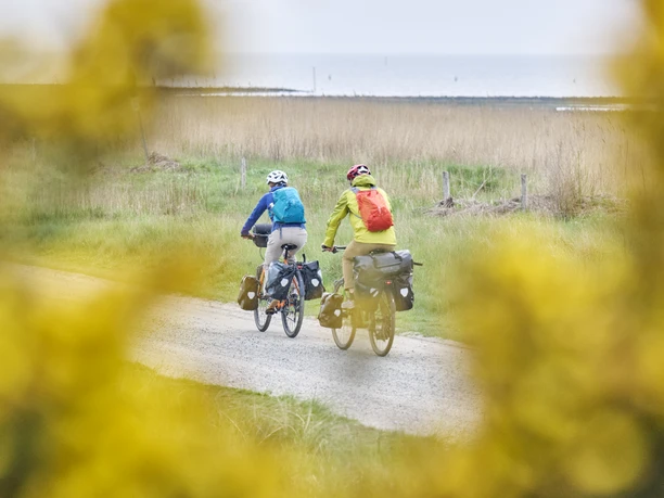Radweg direkt am Wattenmeer