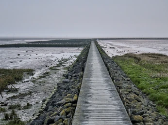 Wattenmeer an der Wurster Nordseeküste