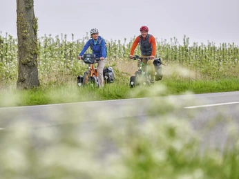 Radfahrende entlang der Obstbäume