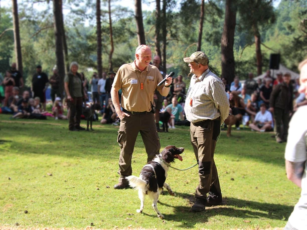 Jagdhundeschau