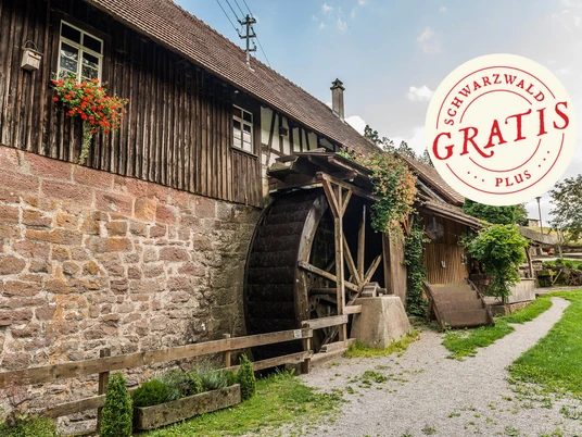 Mönchhof-Sägemühle Waldachtal