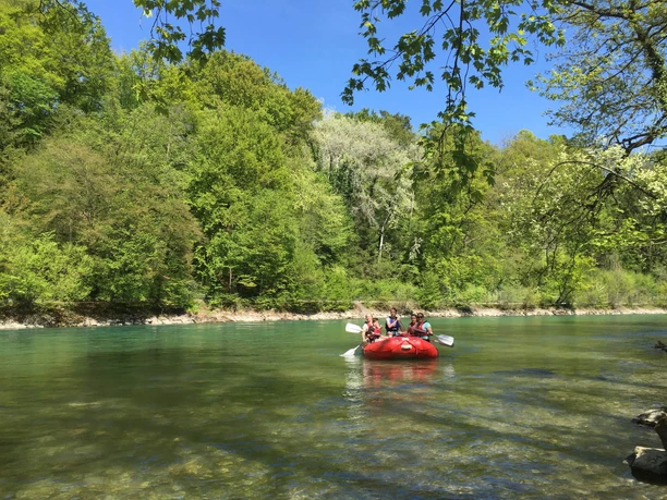 thun-aare-sommer-bäume-boot-menschen