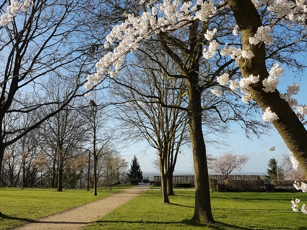 Fürstengarten©Dorothée Meyer (47).jpg Lauenburg Fürstengarten