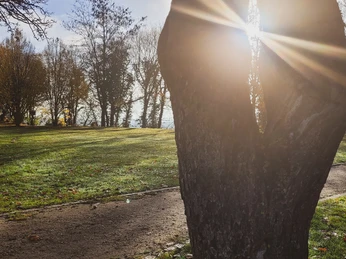 Fürstengarten Lauenburg©Dorothée MEyer (32).jpg Lauenburg Stadtpark