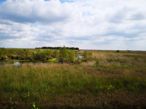 Jammertal, Moorgebiet, Rhauderfehn, Ostfriesland Weite Graslandschaft Moorgebiet mit kleinen Wasserläufen unter bewölktem Himmel