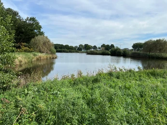 Grüne Uferböschung mit Büschen umrahmt einen ruhigen See unter blauem Himmel mit leichten Wolken.