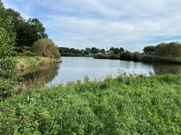 Landschaftssee Steimbke Grüne Uferböschung mit Büschen umrahmt einen ruhigen See unter blauem Himmel mit leichten Wolken.