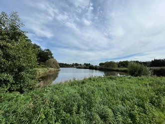 Landschaftssee Steimbke Ruhiger See bei Steimbke, umgeben von üppigem Grün und bewölktem Himmel, lädt zur Erholung ein.