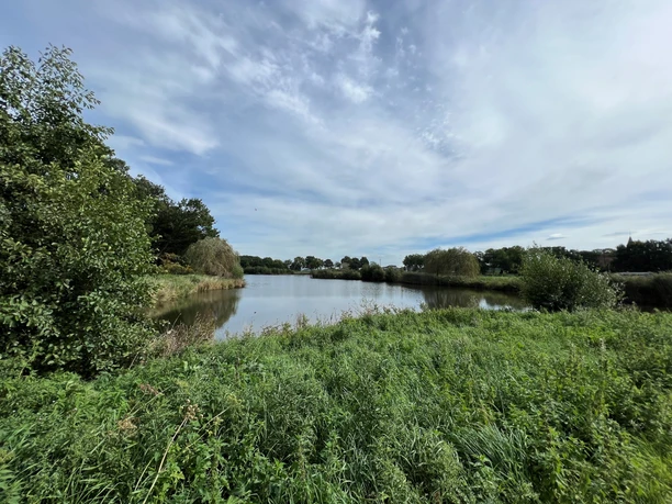 Landschaftssee Steimbke Ruhiger See bei Steimbke, umgeben von üppigem Grün und bewölktem Himmel, lädt zur Erholung ein.