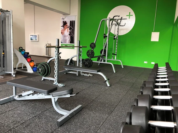 fitplus-wiefelstede-freihantel Freihantelbereich im modernen Fitnessstudio: Bänke, Hanteln und ein heller, grüner Raum.