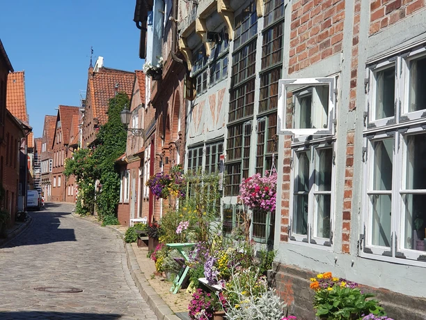 Brau-& Brennhaus im Sommer©Mareike Bodendieck.jpg Sommer in der Elbstraße