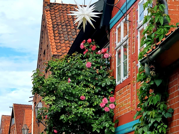 Blütezeit in der Altstadt©Mareike Bodendieck.jpg Altstadt von Lauenburg