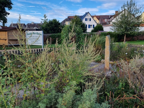 Kräutergarten im Kneipp Kurgarten