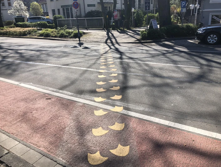 entenpadd-bad-zwischenahn