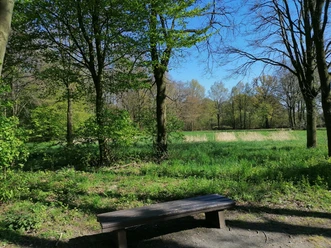wiesengrund-bank
