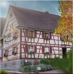 Rebstock Lauf